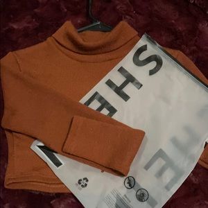 Brown Cropped Turtle Neck